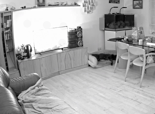 كيف تدير حياتك