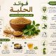 فوائد الحلبة للبشرة والشعر