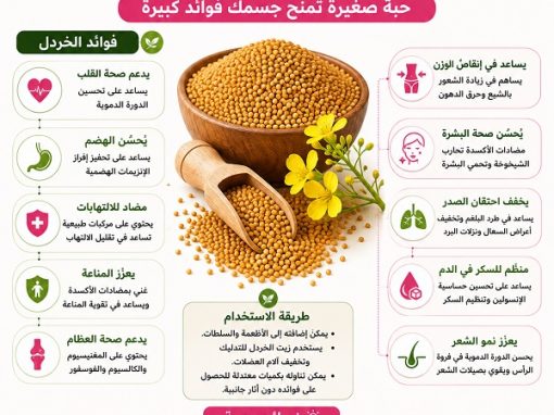 فوائد الخردل الصحية المذهلة.. حبة صغيرة تمنح جسمك فوائد كبيرة